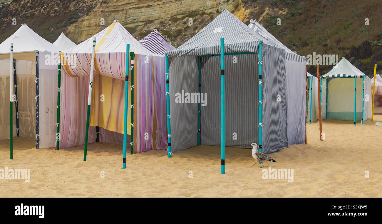Un gabbiano si aggira intorno a colorate tende da spiaggia a Nazaré, Portogallo Foto Stock