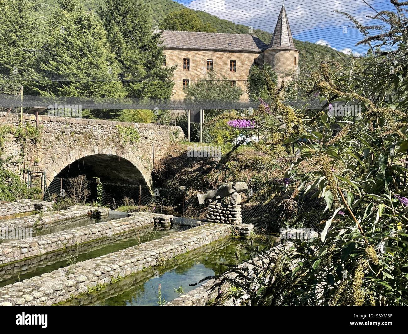 Castello Florac con laghetti vivaio di pesci, parco nazionale di Cévennes, Francia Foto Stock