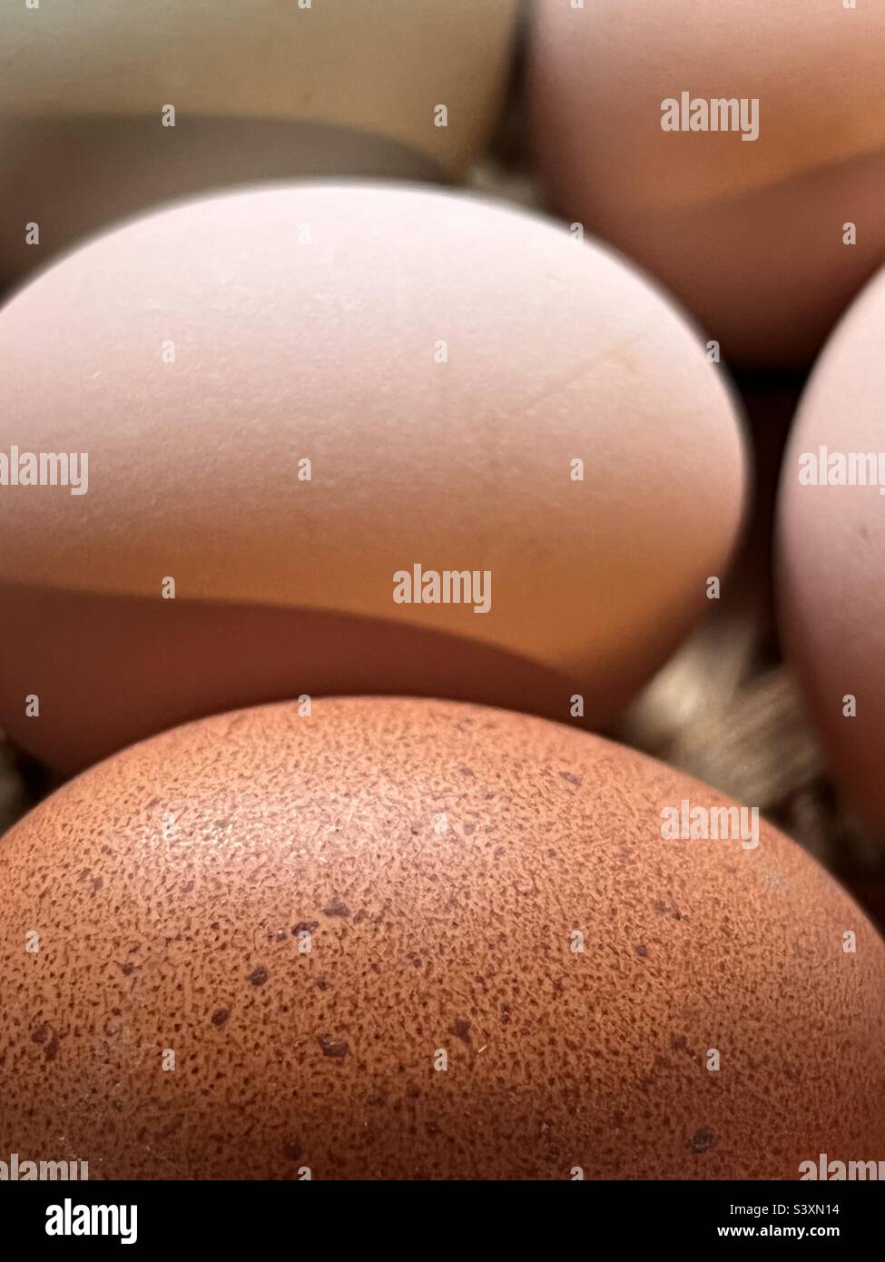 Un primo piano di uova fresche da polli cortile. - Immagine stock catturata con smartphone