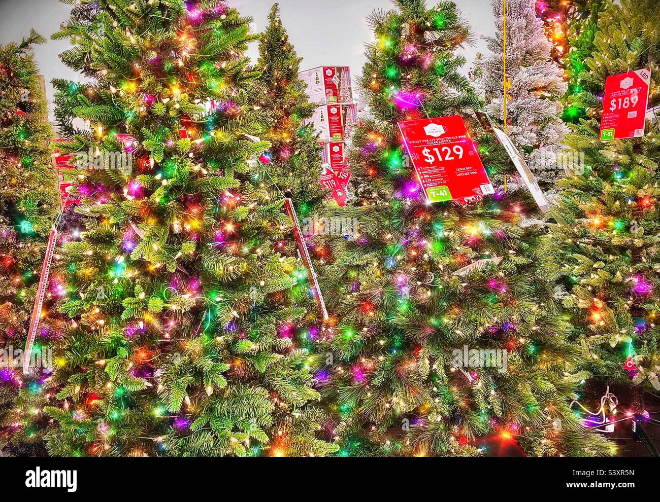 Natale arriva presto nel mondo del retail. Diversi stili di alberi artificiali sono in mostra e in vendita presso uno Utah locale, USA Walmart. L'app IOS Kirakira è stata utilizzata per aggiungere luce e scintilla in digitale Foto Stock