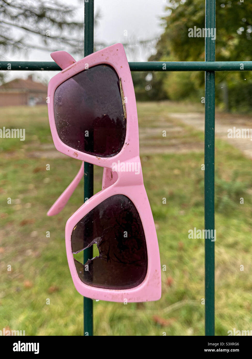 Paio di occhiali da sole con cornice rosa che si gettano via appesi su una recinzione metallica in un paesaggio di parchi con un sentiero pedonale Foto Stock