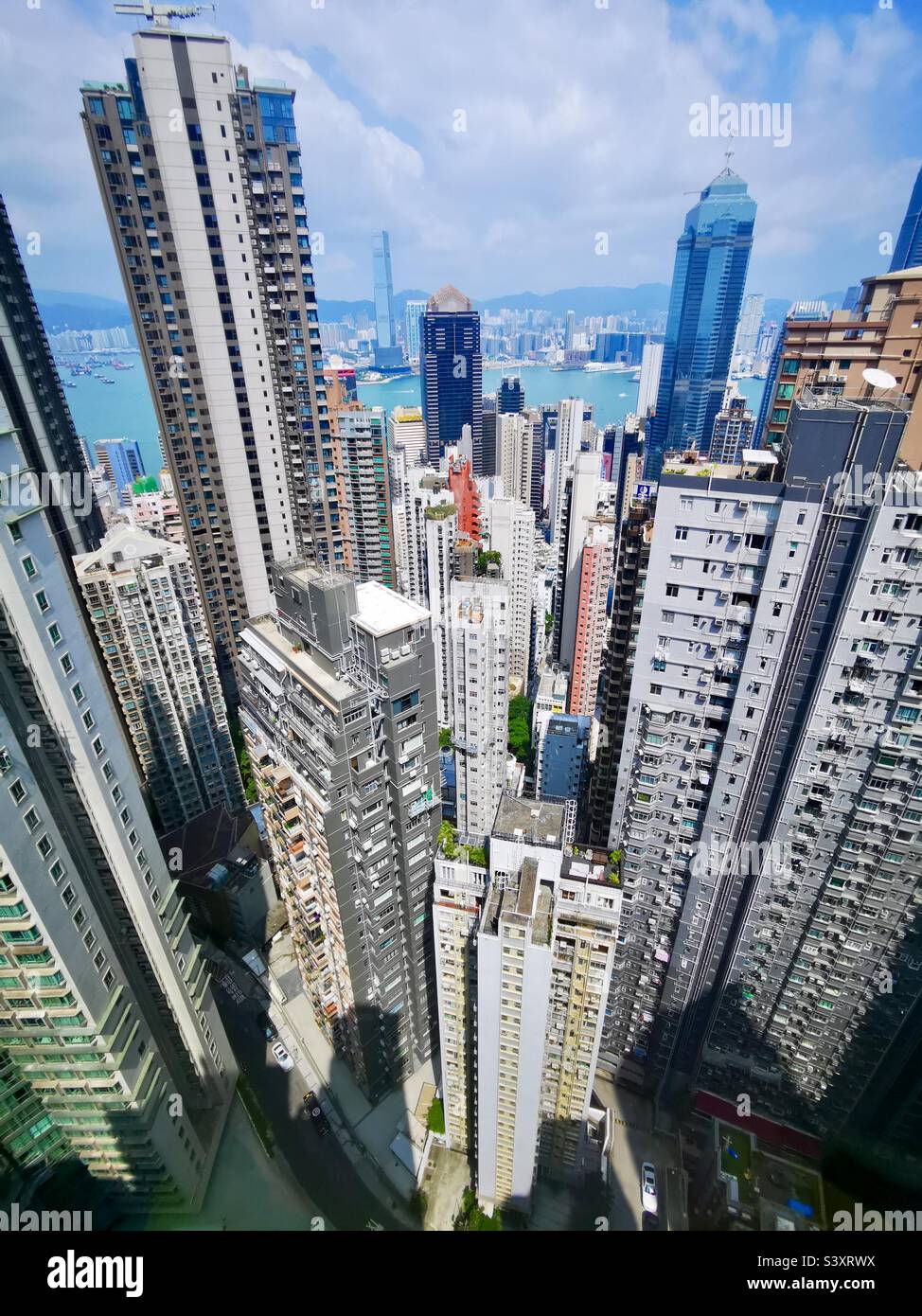 Giungla urbana. Il centro di Hong Kong. Foto Stock