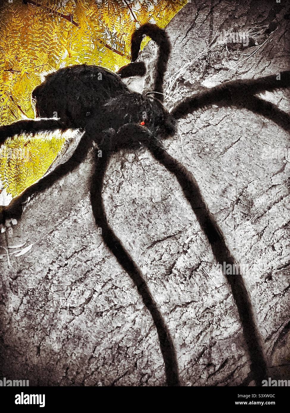 Un ragno gigante fa la sua tana in un albero in un cortile nello Utah, Stati Uniti. Ogni autunno, mentre si avvicina la stagione di Halloween, si trova qui come parte di tutto l'arredamento "spettrale" che si trova in tutto questo cortile dello Utah. Foto Stock