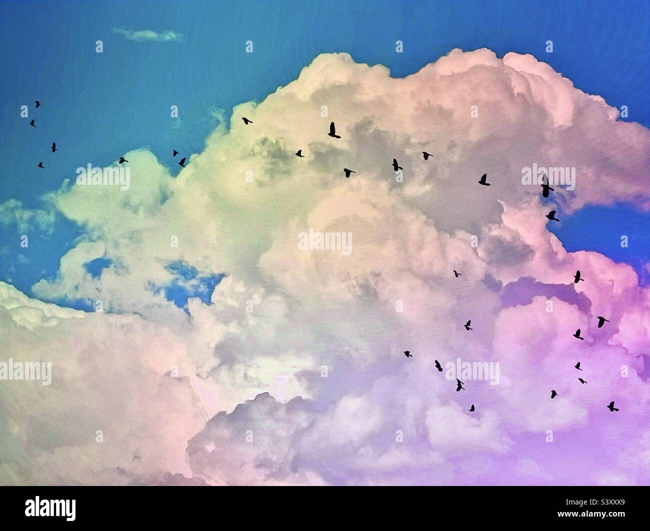 Nuvole scintillanti sulla valle di Salt Lake nello Utah, USA. L'app IOS Distressed FX+ è stata utilizzata per aggiungere effetti di colorazione e le silhouette "uccelli in volo". - Immagine stock catturata con smartphone