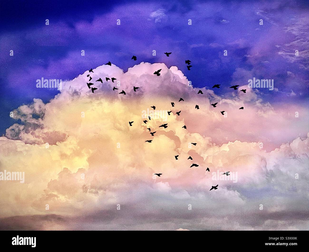 Nuvole scintillanti sulla valle di Salt Lake nello Utah, USA. L'app IOS Distressed FX+ è stata utilizzata per aggiungere effetti di colorazione e le silhouette "uccelli in volo". - Immagine stock catturata con smartphone