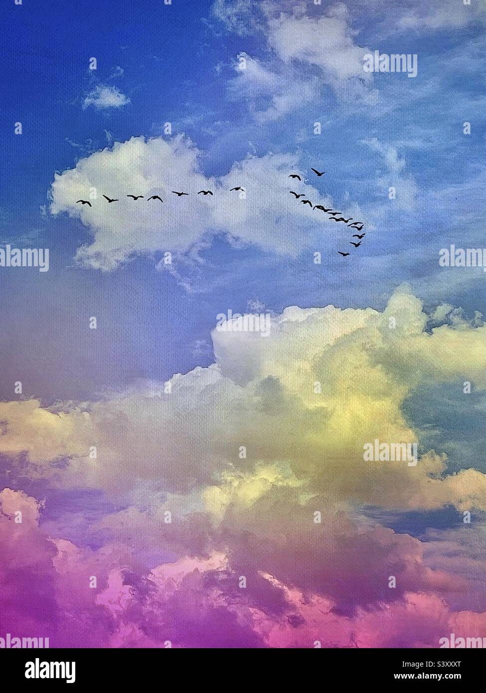 Nuvole scintillanti sulla valle di Salt Lake nello Utah, USA. L'app IOS Distressed FX+ è stata utilizzata per aggiungere effetti di colorazione e le silhouette "uccelli in volo". - Immagine stock catturata con smartphone