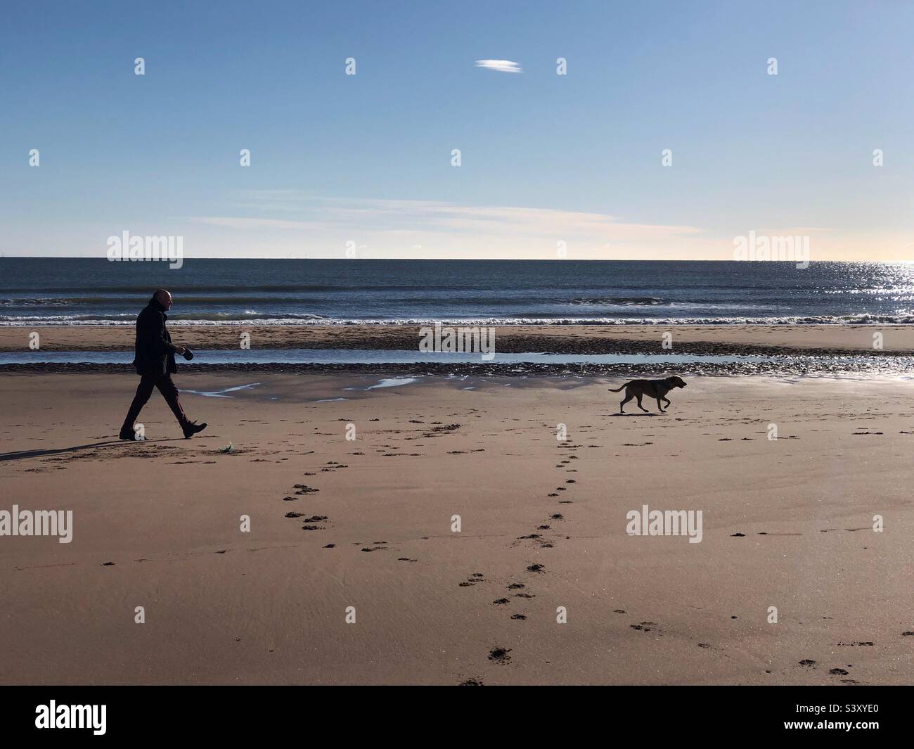 Passeggiate con il cane sulla spiaggia - Immagine stock catturata con smartphone