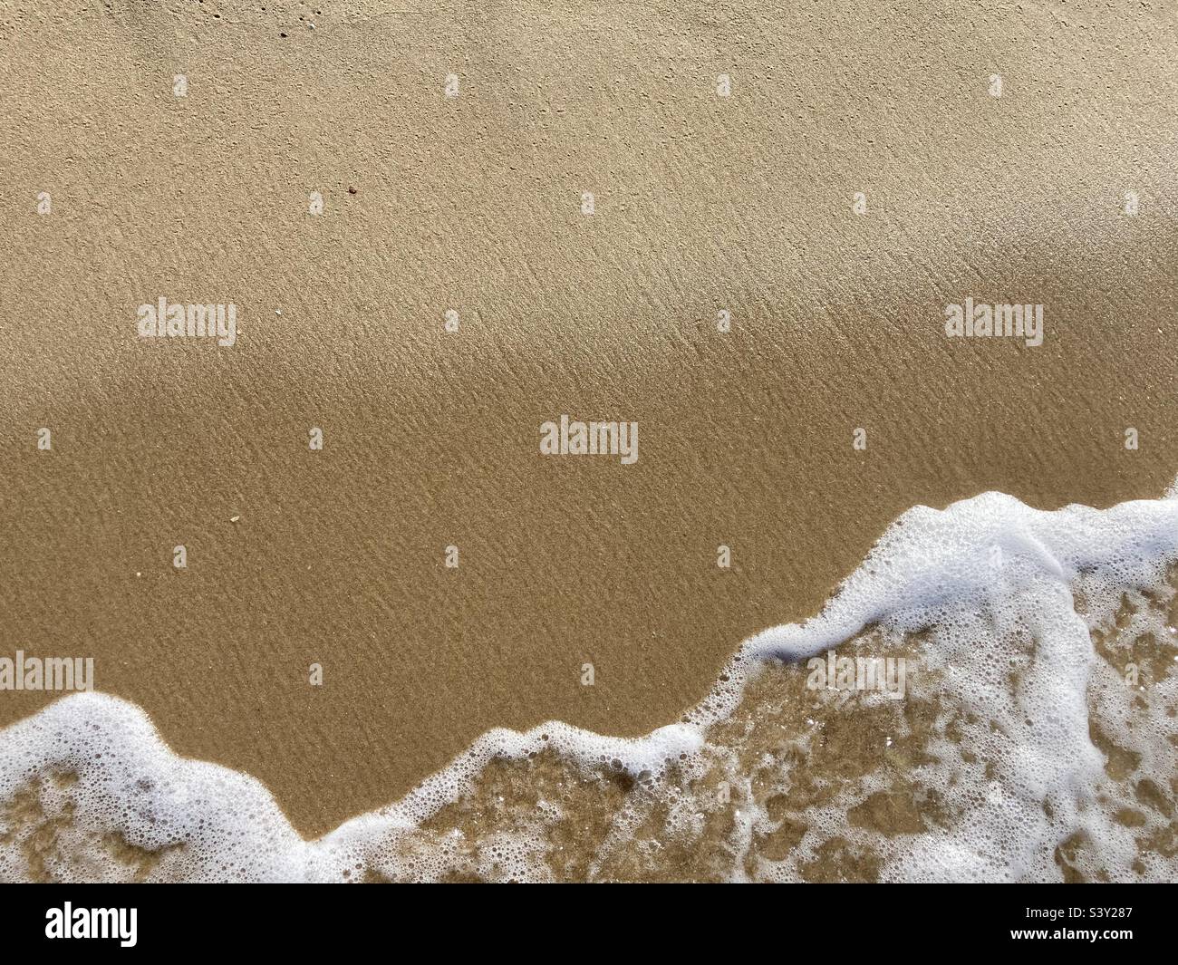 un'onda schiumosa sulla sabbia della spiaggia del mare del nord Foto Stock