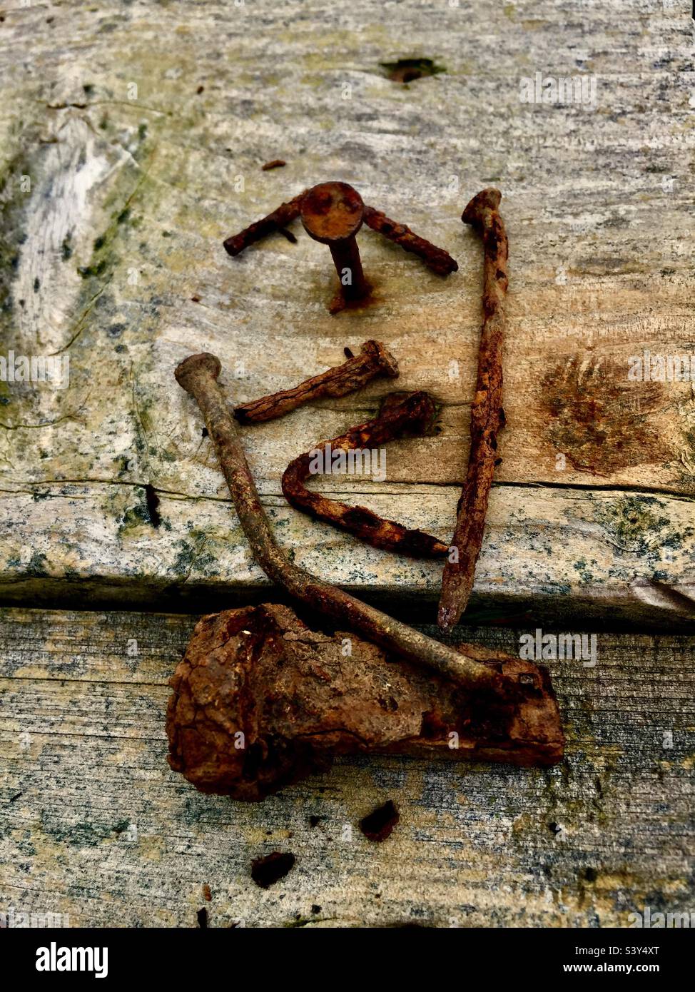 Chiodi arrugginiti, piegati, scartati su una tavola di legno intemperiato, Halifax, Canada. Esposto agli elementi. Detrito. Foto Stock