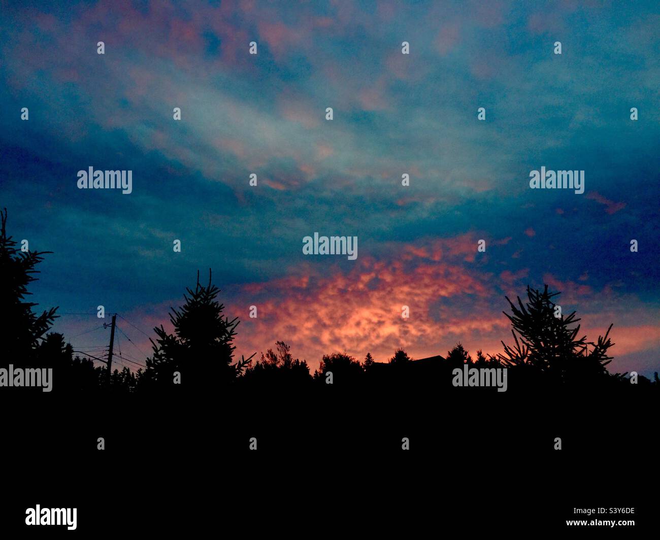 Una nuova alba. Un cielo rosso ardente sopra gli alberi. Promessa di una giornata blu-cielo. Nuova Scozia, Canada. Cielo rosso di notte, gioia del marinaio. - Immagine stock catturata con smartphone