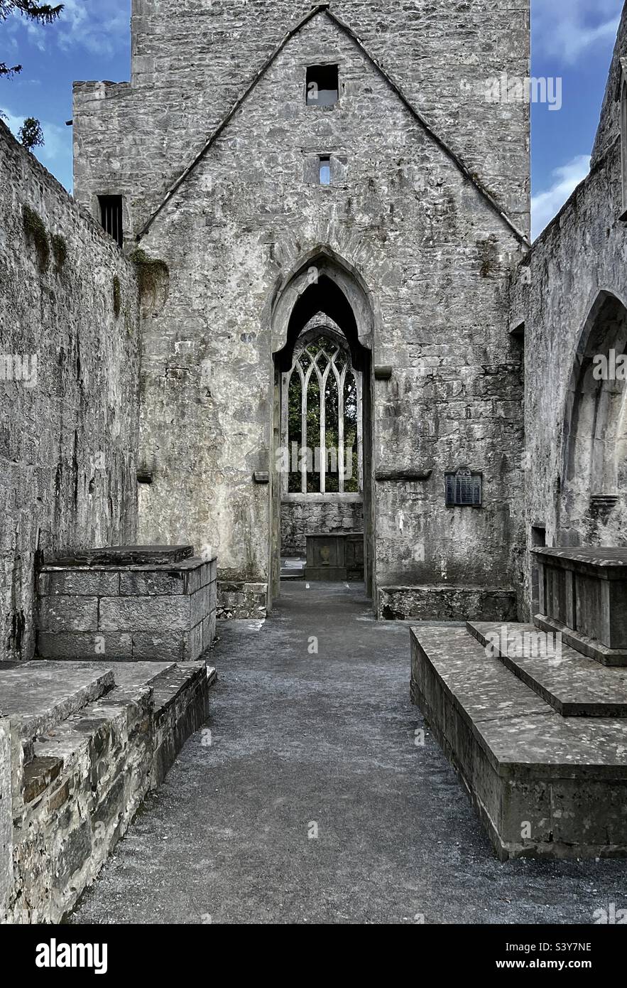 Interno delle rovine abbandonate di muckross Abbey, Irlanda Foto Stock