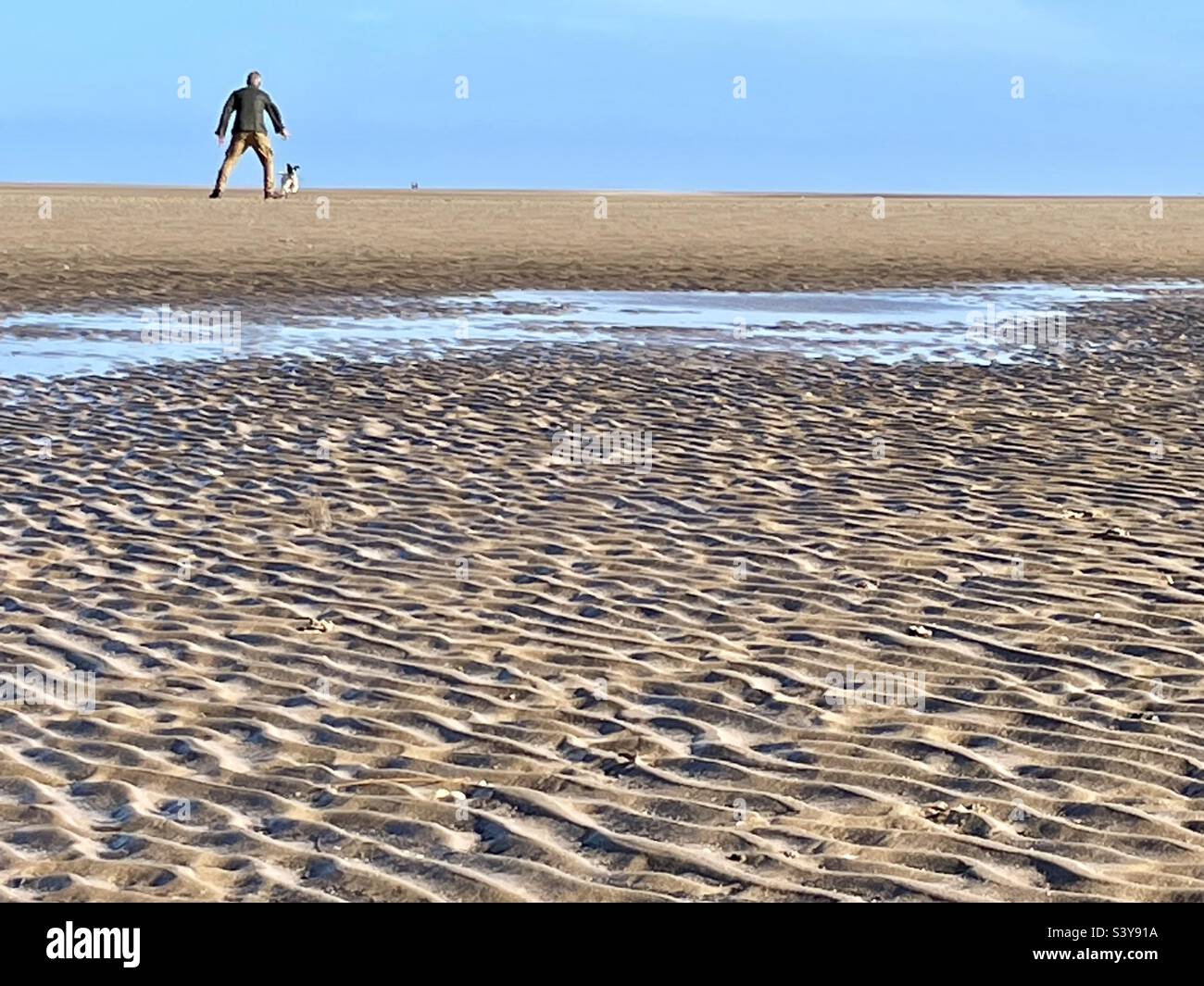 Un uomo che allenava il suo cane su una spiaggia sabbiosa a Norfolk, Inghilterra, Regno Unito. Foto Stock