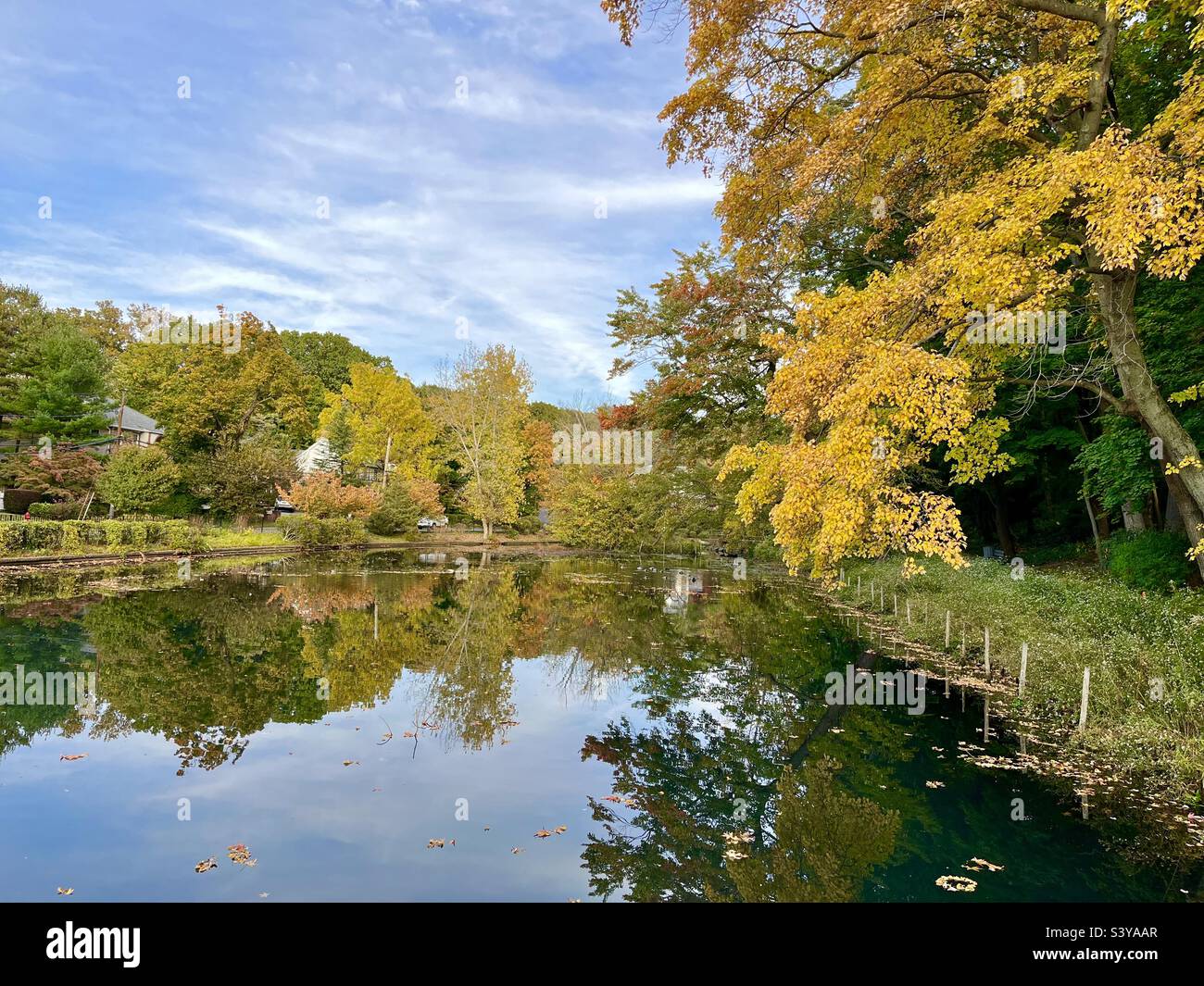 Vista autunnale vicino allo stagno Foto Stock