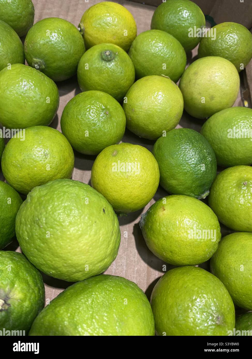 Non ci sono così tante lime in una scatola - Immagine stock catturata con smartphone
