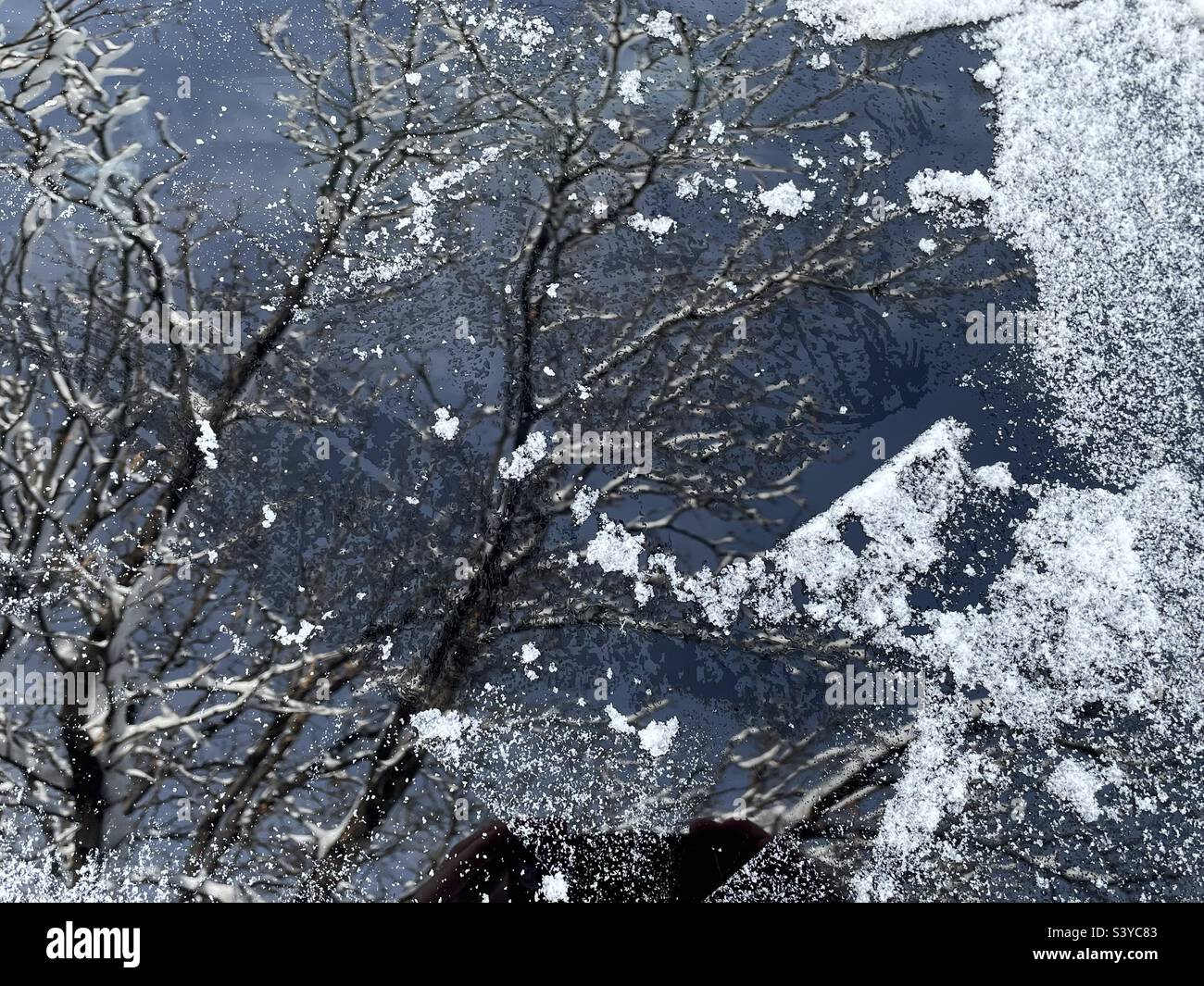 Neve fresca e ghiaccio sono stati raschiati dal parabrezza di un SUV dopo una forte nevicata che si è verificata durante la notte in questo quartiere dello Utah, Stati Uniti. Un'astrazione fresca fatta da riflessi in vetro e particelle di neve. - Immagine stock catturata con smartphone