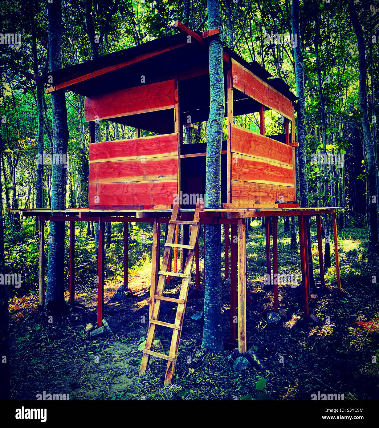 Albero casa caban costruito in una foresta con una scala Foto Stock