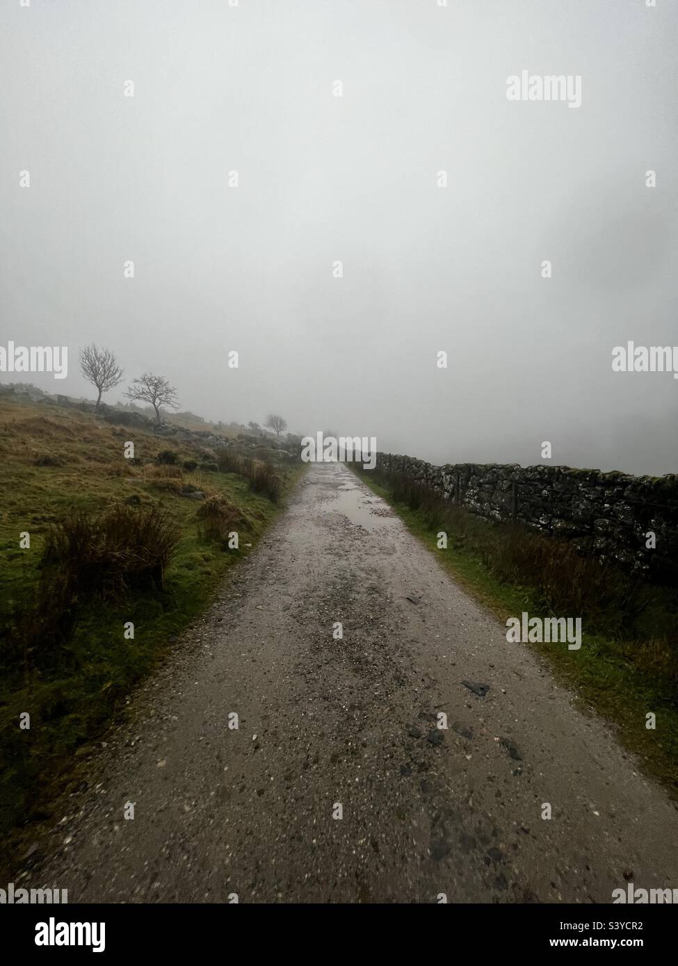 Sentiero che conduce ai boschi di Whistman in remota desolazione e solitario Dartmoor nella nebbia Foto Stock