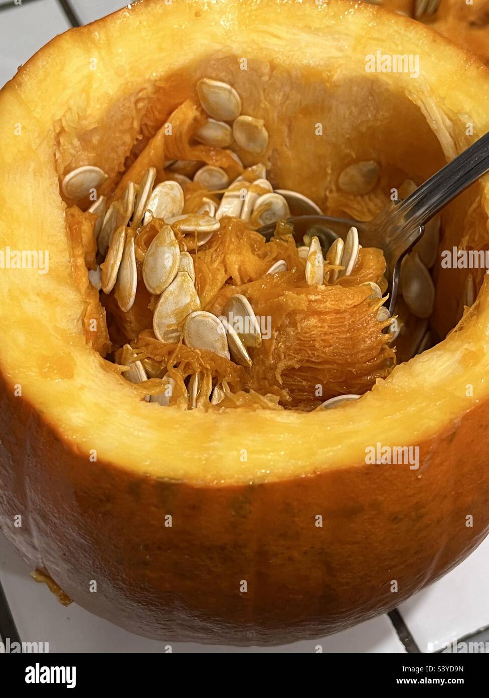 Raccogliere una zucca su Halloween Foto Stock