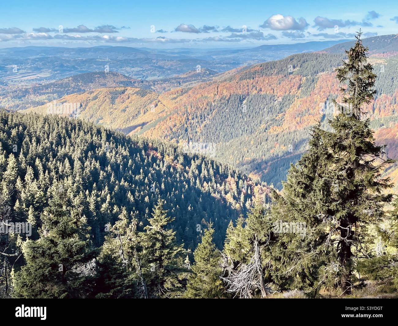 Moravia - Immagine stock catturata con smartphone