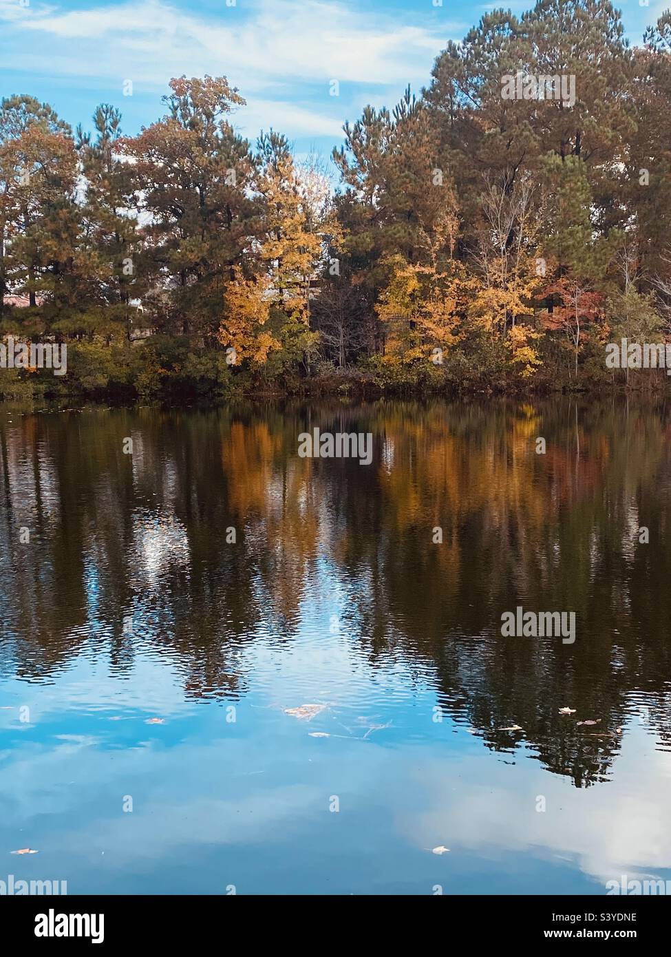 Alberi di autunno riflessi sull'acqua Foto Stock