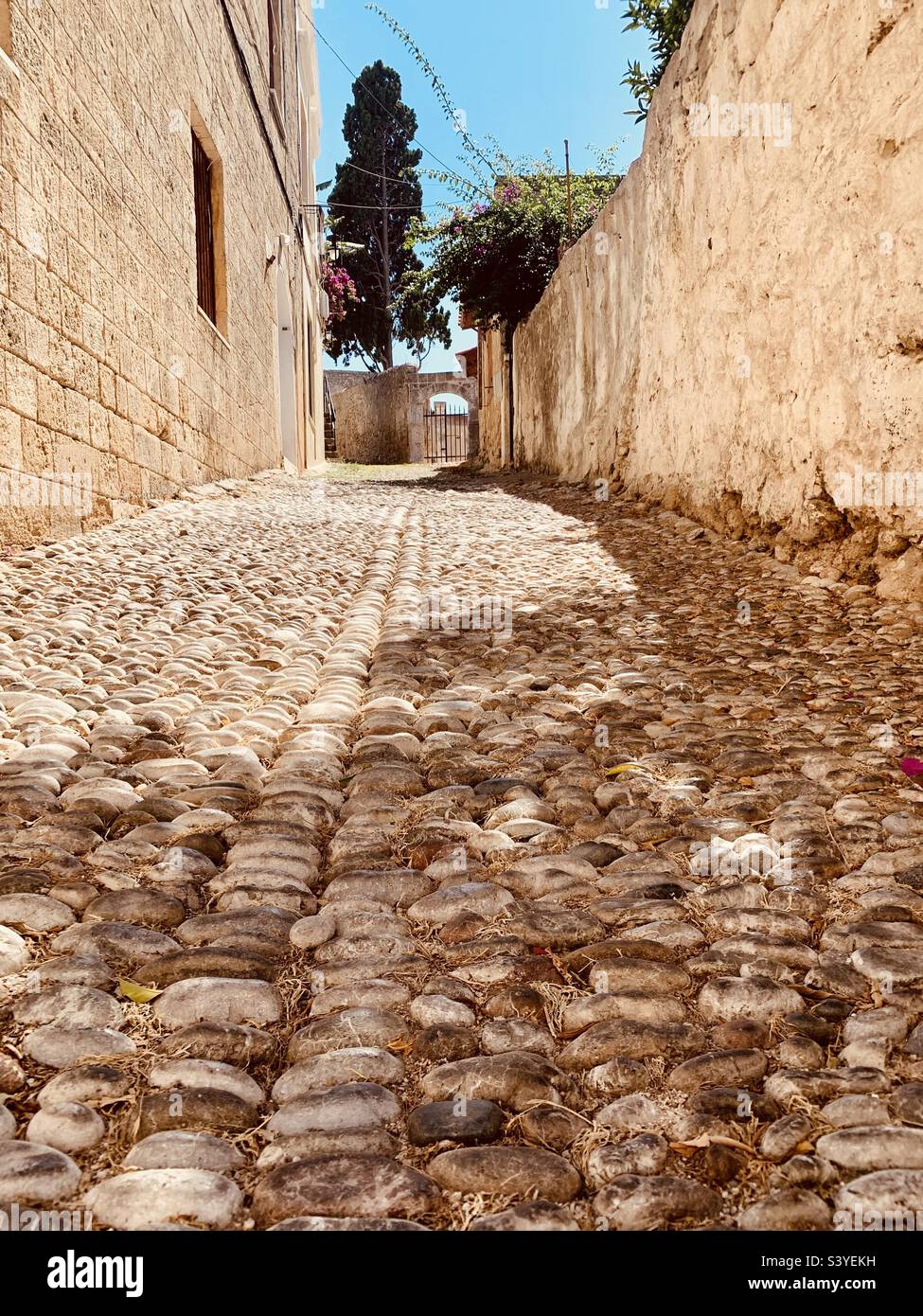 Vecchia strada con ciottoli a Rodi, Grecia Foto Stock