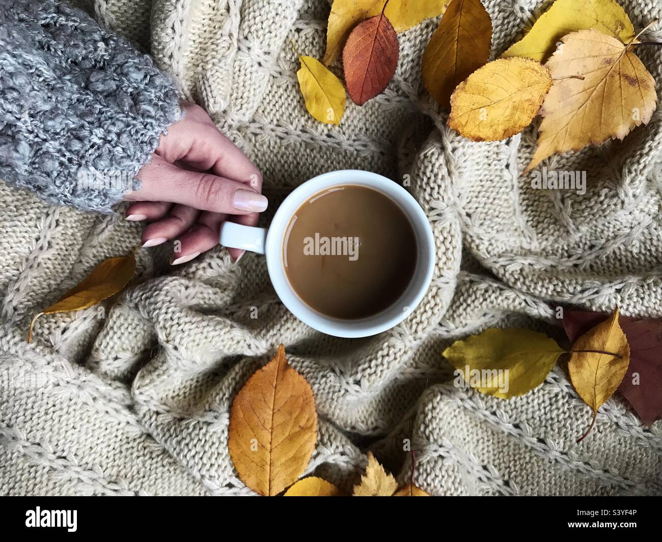 Bere caffè in autunno Foto Stock