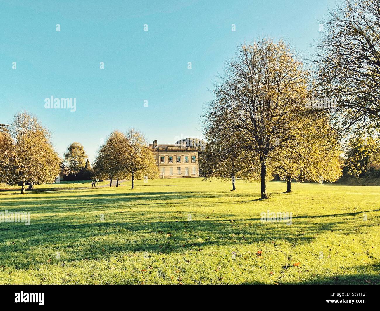 Sole mattutino al Blaise Castle Estate, autunno, Bristol, Regno Unito - Immagine stock catturata con smartphone