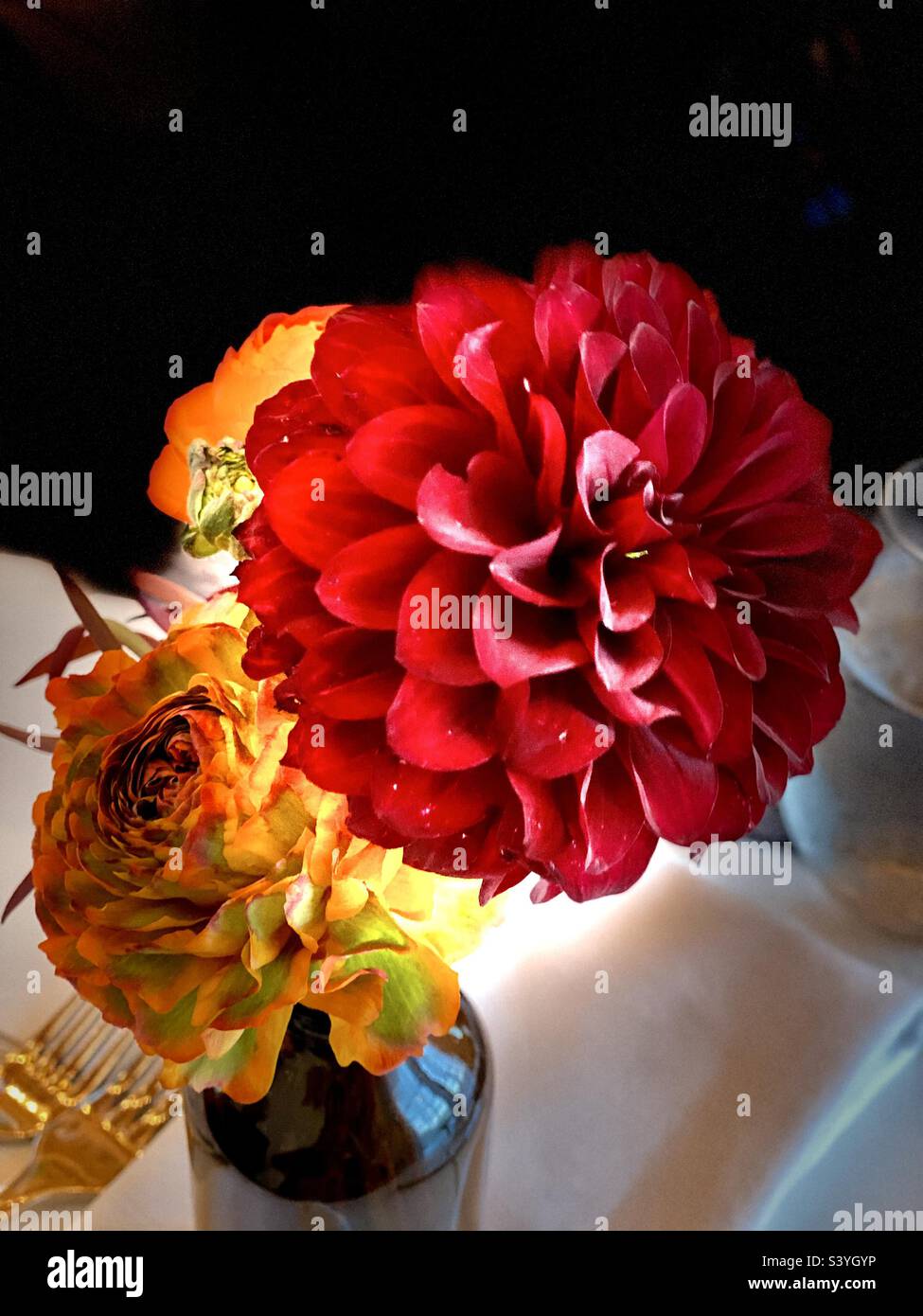 Tagliare dahlias giardino in un vaso di vetro che decorano un piano tavolo. Foto Stock