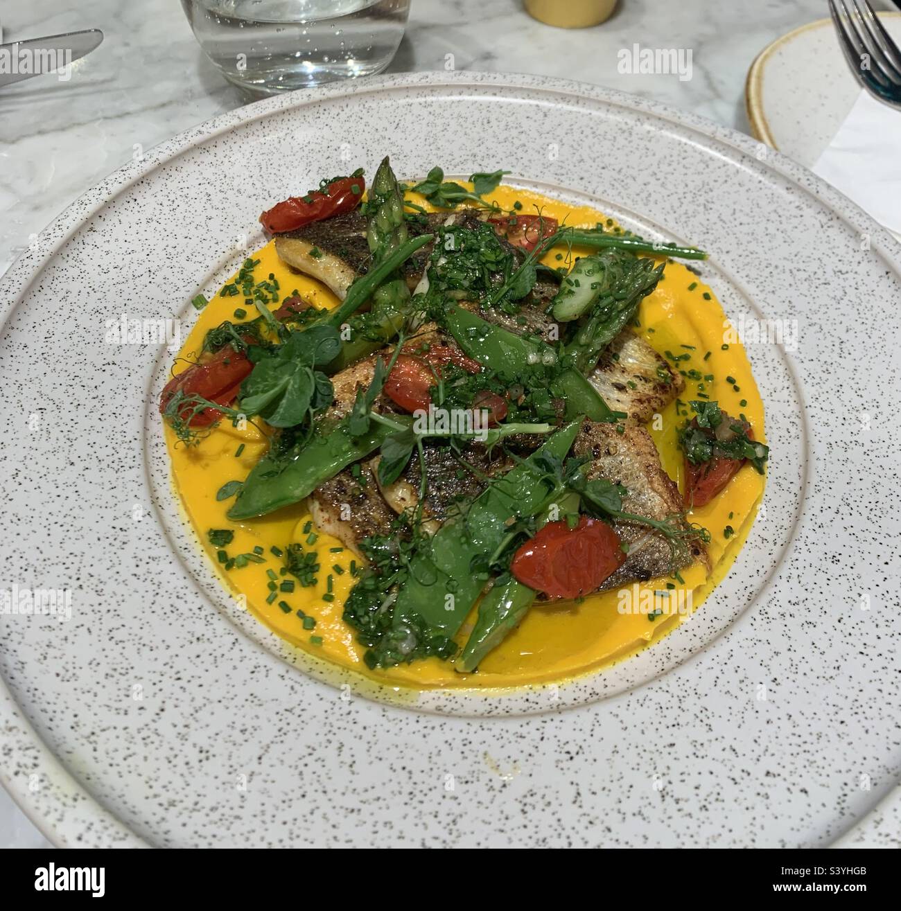 Spigola alla griglia servita con verdure fresche e purea di carote e zenzero - Immagine stock catturata con smartphone