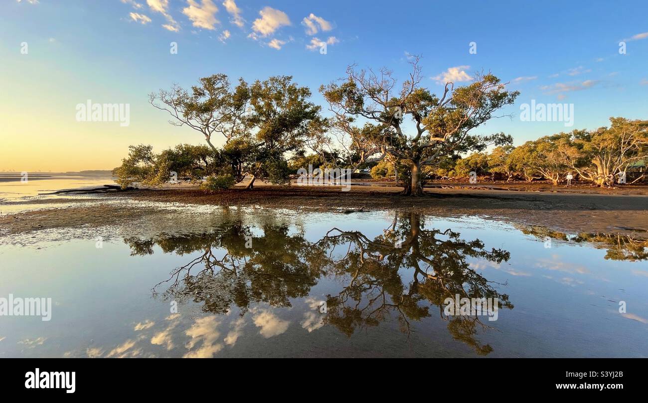 Riflessione di mangrovie all'alba su Nudgee Beach, Queensland, Australia Foto Stock