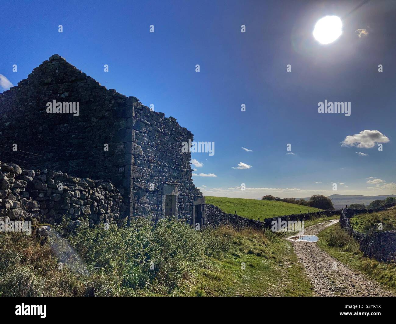 Il fienile Horton è stato derelitto a Ribblesdale, Yorkshire Dales Foto Stock