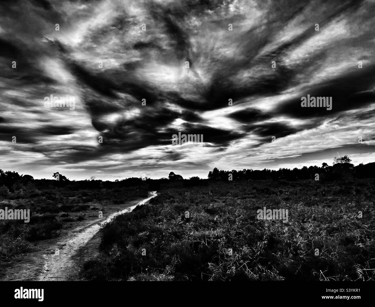 Sentiero pubblico Sutton Heath Suffolk in Inghilterra - Immagine stock catturata con smartphone