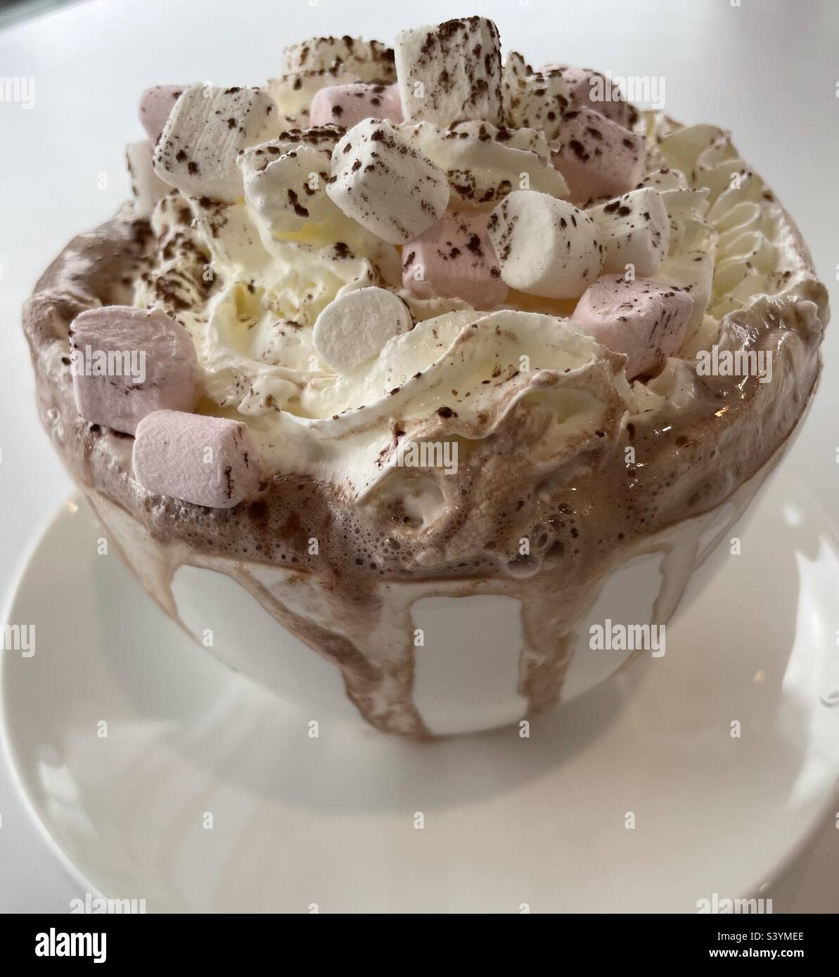 Una tazza di cioccolata calda con panna montata e marshmallows e cospargere Foto Stock Una tazza di cioccolata calda con panna montata e marshmallows e cospargere Foto Stock