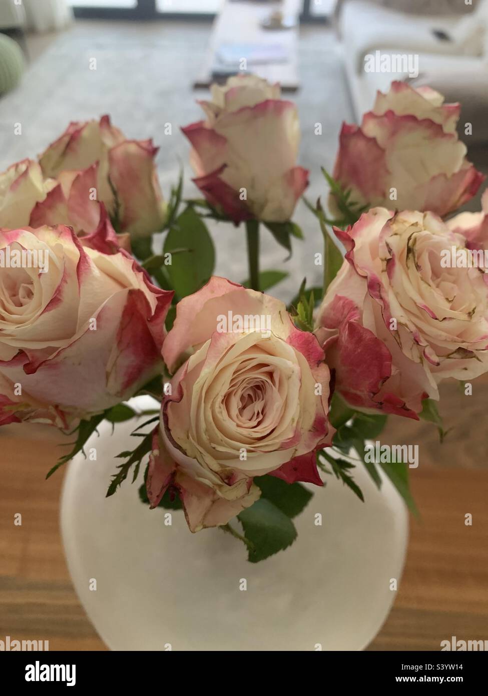 Immagine ravvicinata di un bouquet di rose rosa e bianche in vaso Foto Stock