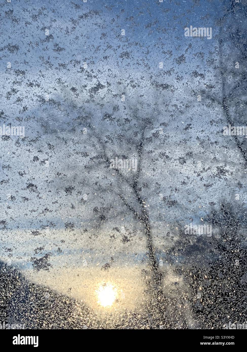 Alberi e sole visti attraverso una finestra gelida - Immagine stock catturata con smartphone
