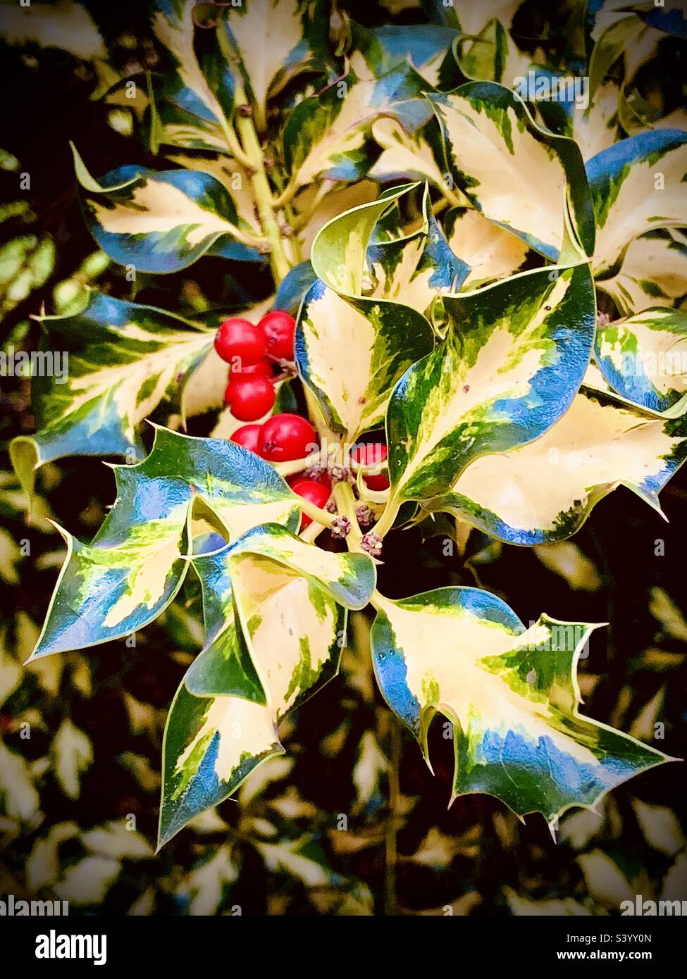 20 Rami Di Bacche Di Agrifoglio Natalizie Finte - Rosse Con Foglie Verdi - Decorazioni Per Albero E Ghirlande