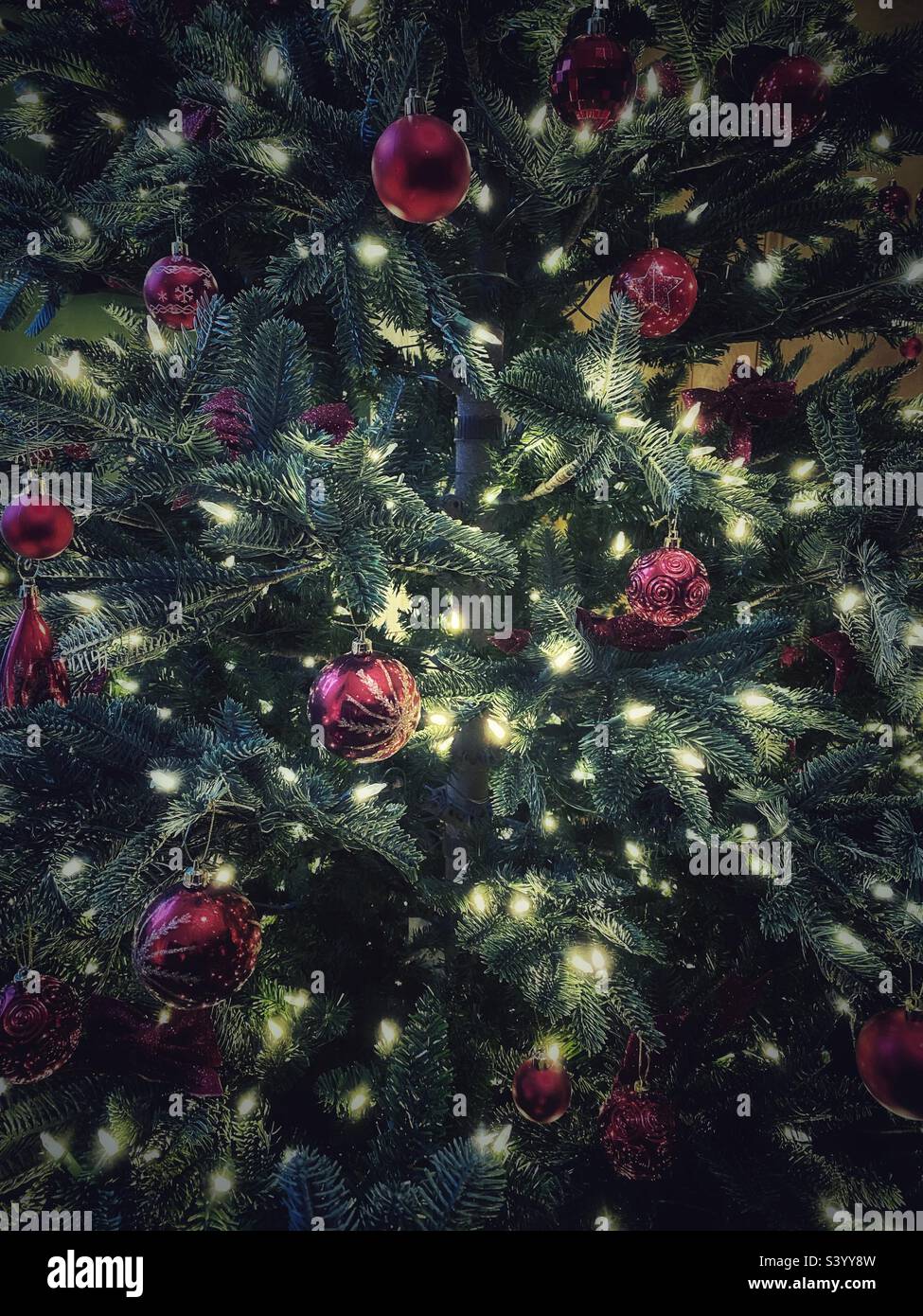 Una fotografia di baubles rossi su un albero di Natale. Sfondo festivo Foto Stock