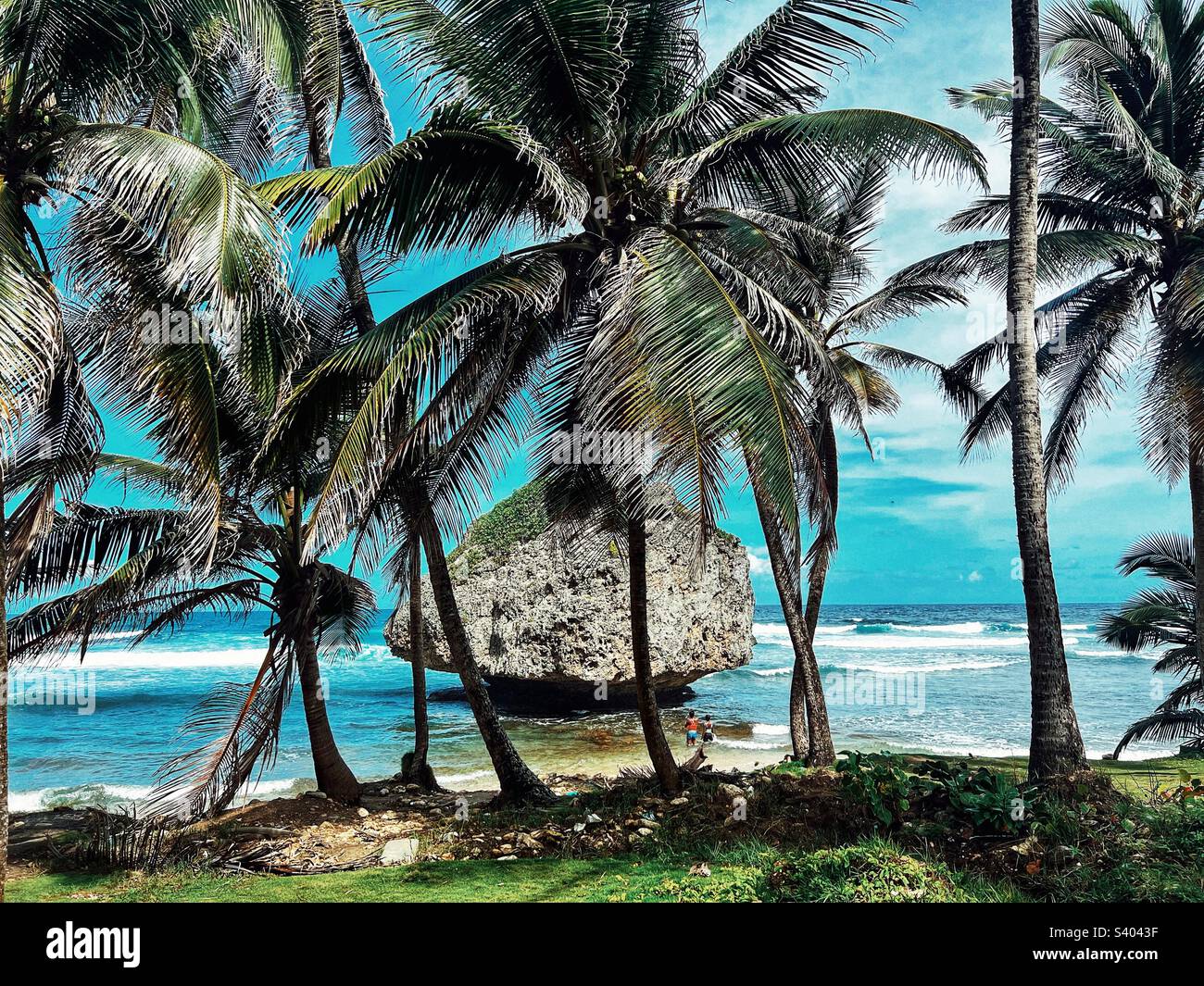 Spiaggia di Bathsheba alle Barbados Foto Stock