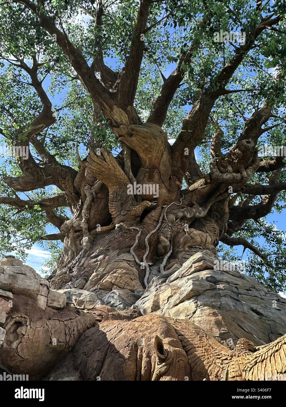 Guardando l'albero della vita che è nel centro del Regno degli Animali a Walt Disney World. Foto Stock