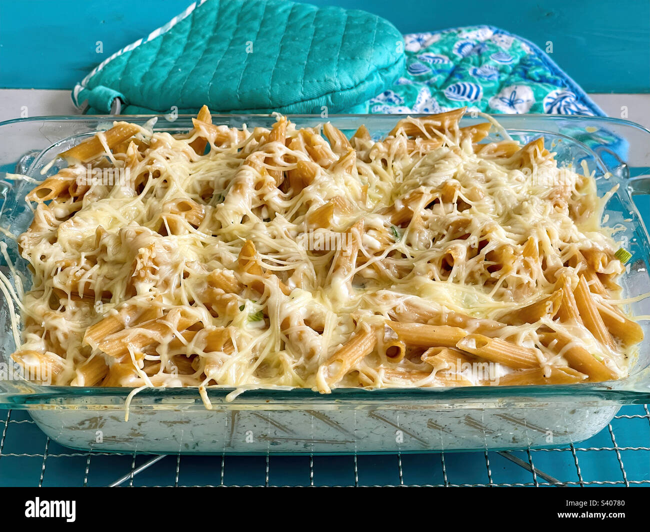 Noodles Romanoff fatti in casa con una guarnizione di parmigiano. Prodotto con pasta di grano integrale. Foto Stock