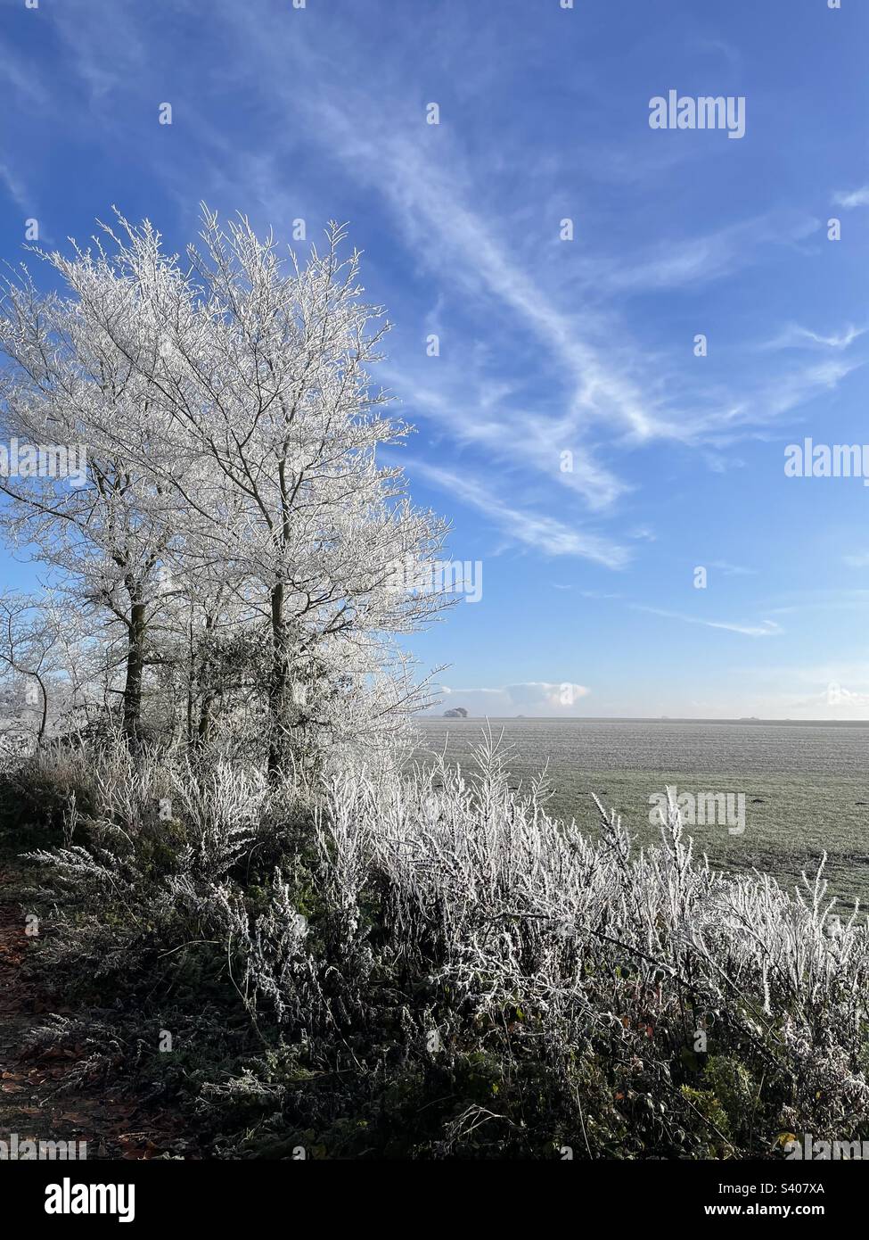 Gelo invernale. Foto Stock