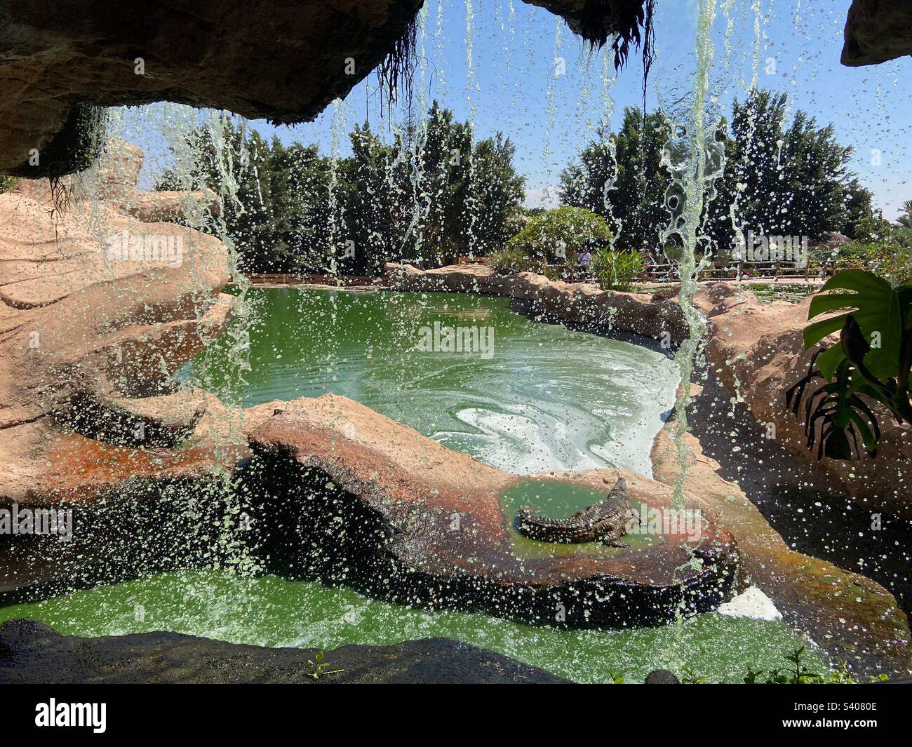 Scivolo d’eau dans un parc à rettili Foto Stock