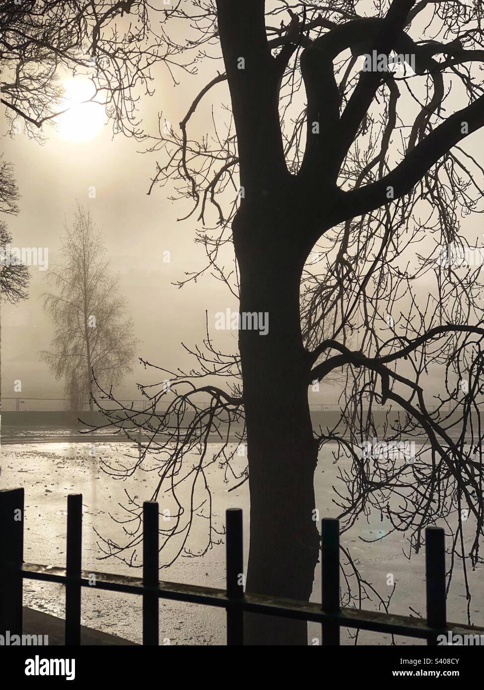 Nebbia gelida e un laghetto ghiacciato nel parco di Inverleith, Edimburgo Foto Stock