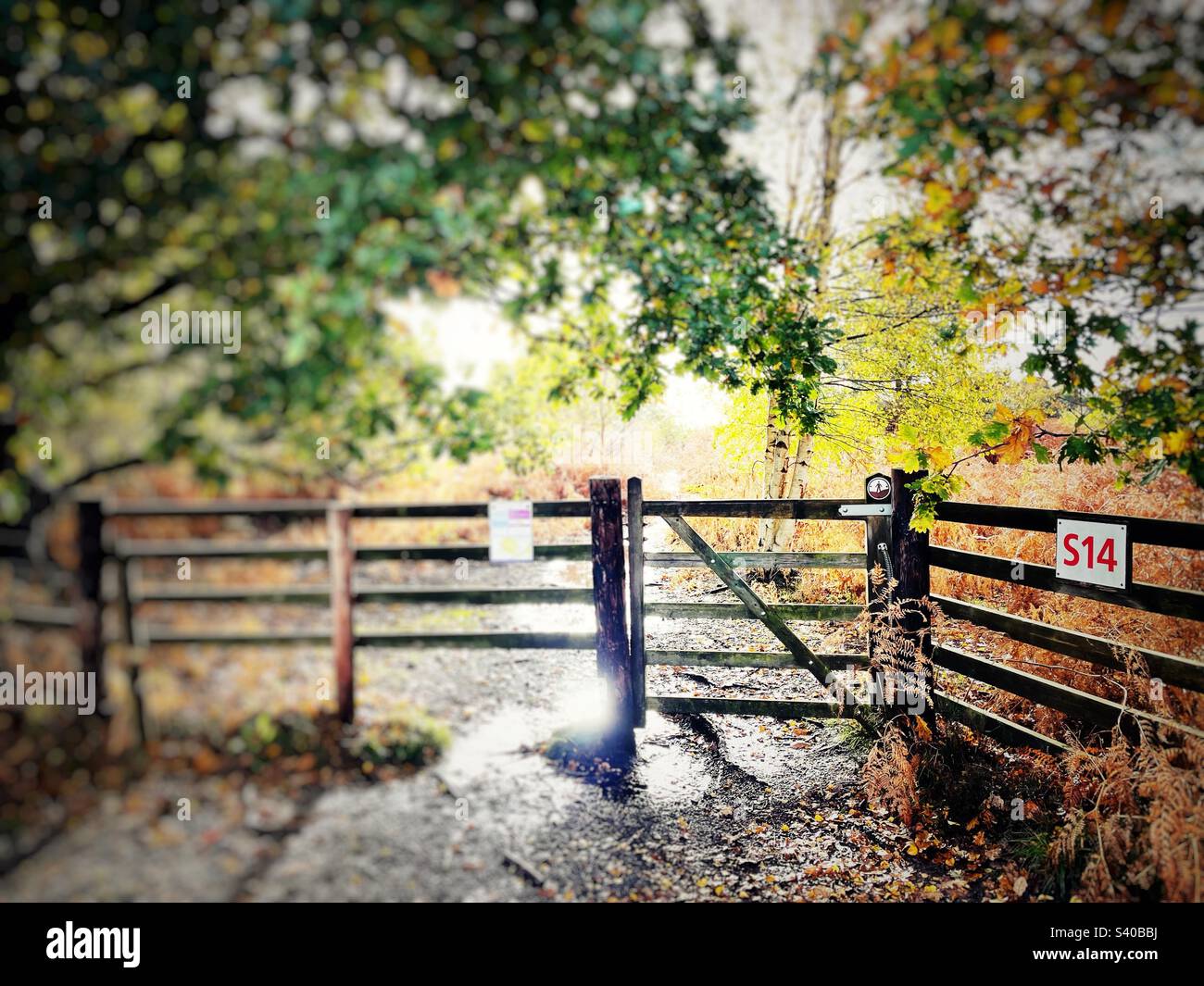 Porta Sutton Heath S14 Foto Stock