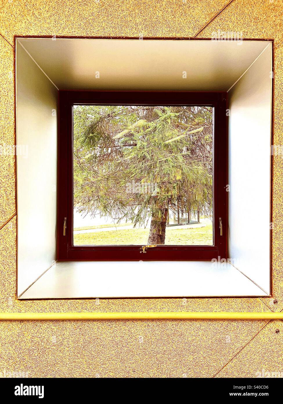 Finestra interna che incornicia perfettamente l'albero all'esterno. Foto Stock