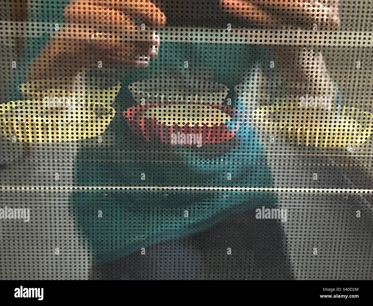 Riflesso di donna e torte in forno porta Foto Stock