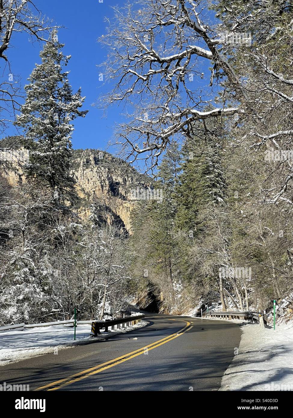 Winter Wonderland, Scenic Highway, 89A, Sedona, Arizona, Canyon del ruscello di quercia, prima nevicata, pinete innevate, cielo blu brillante, sole brillante su rami ghiacciati, vista nord, scogliere rocciose Foto Stock