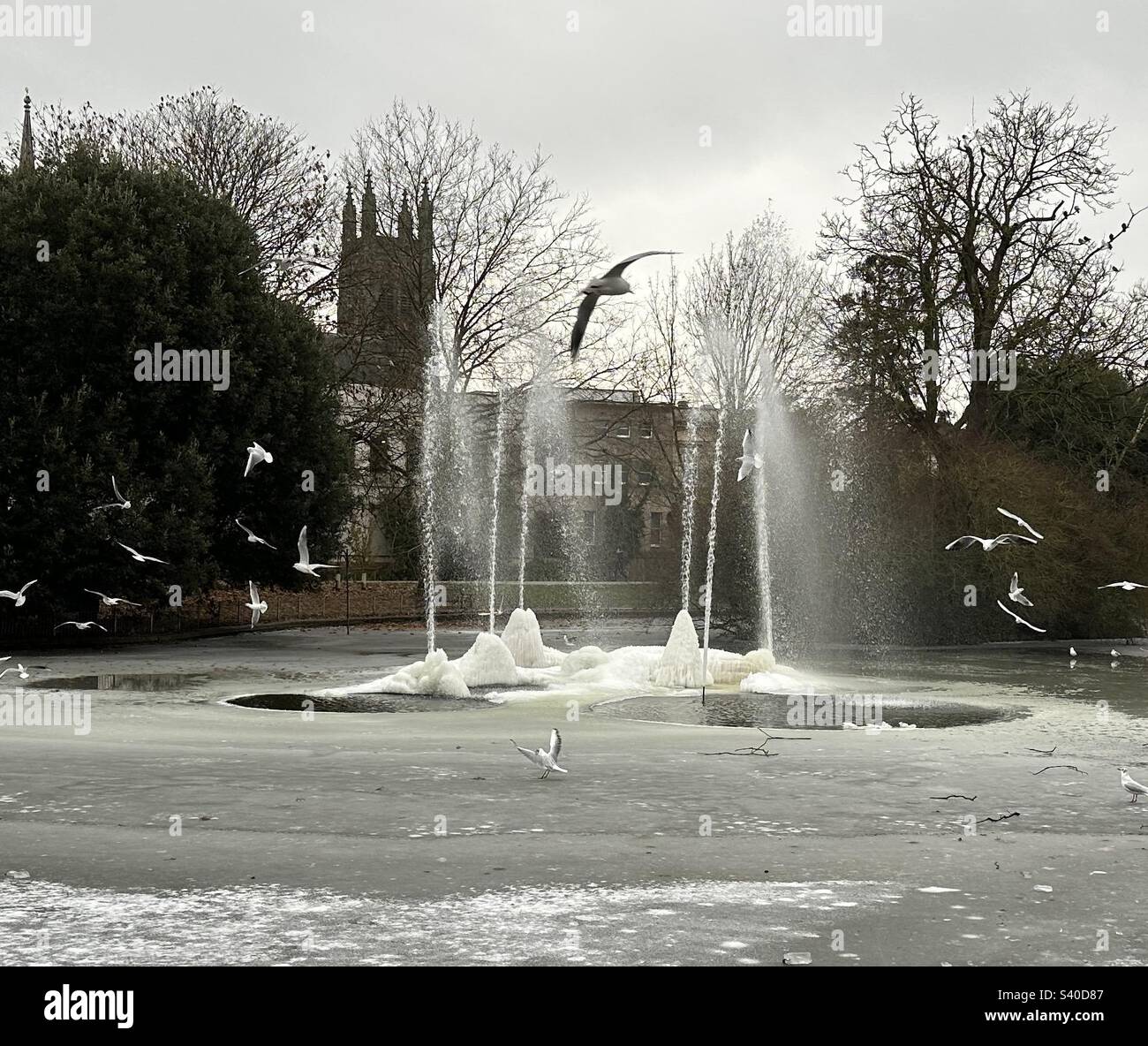 Inverno al Jephson Gardens Leamington Spa - Immagine stock catturata con smartphone