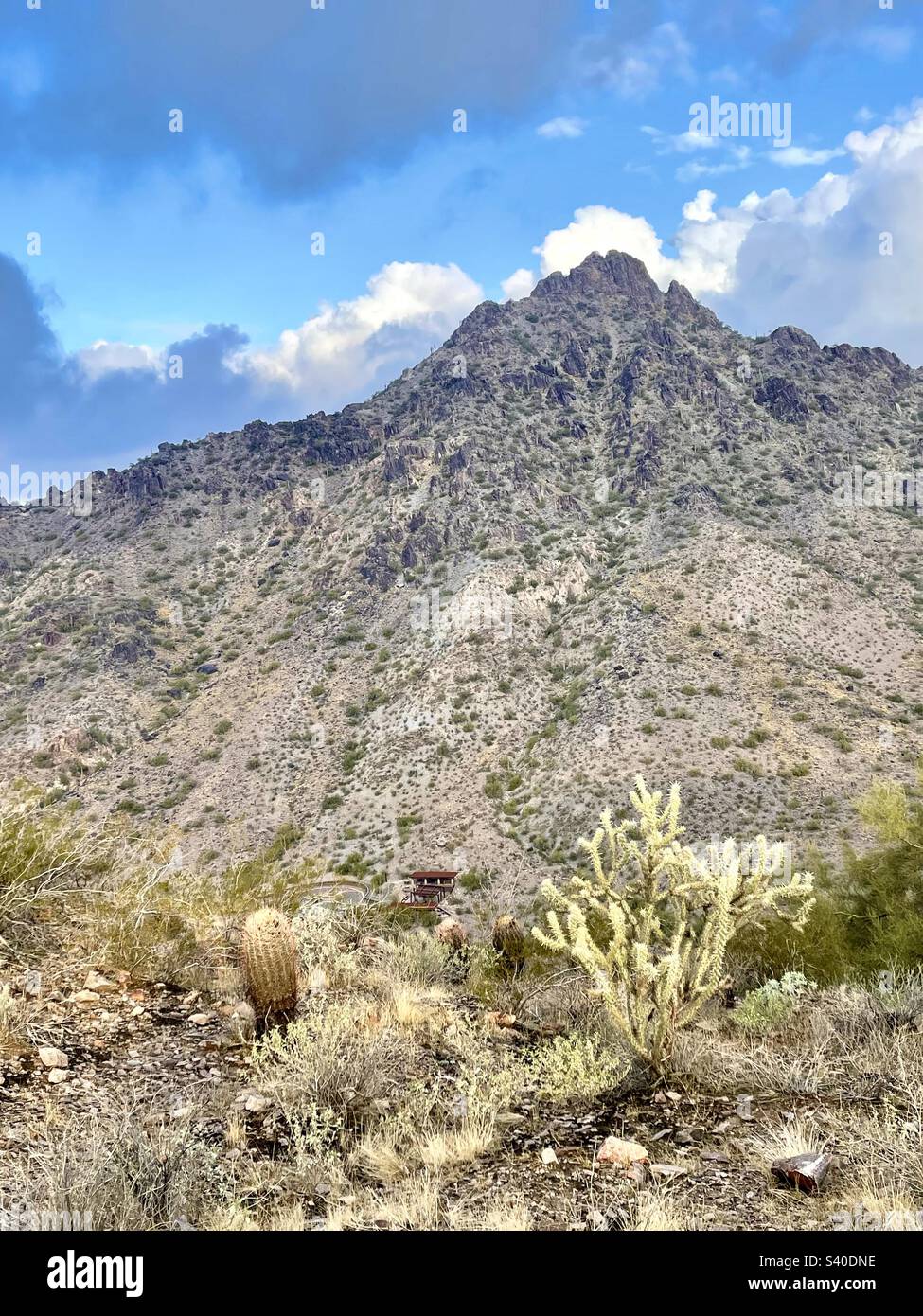 Nuvole tempesta, picco Piestewa, salto Cholla cactus in primo piano, 3rd picco più alto Phoenix, precedentemente chiamato Squaw Peak, o’odham - Vainom do’ag, Phoenix Mountain Preserve, Arizona Foto Stock