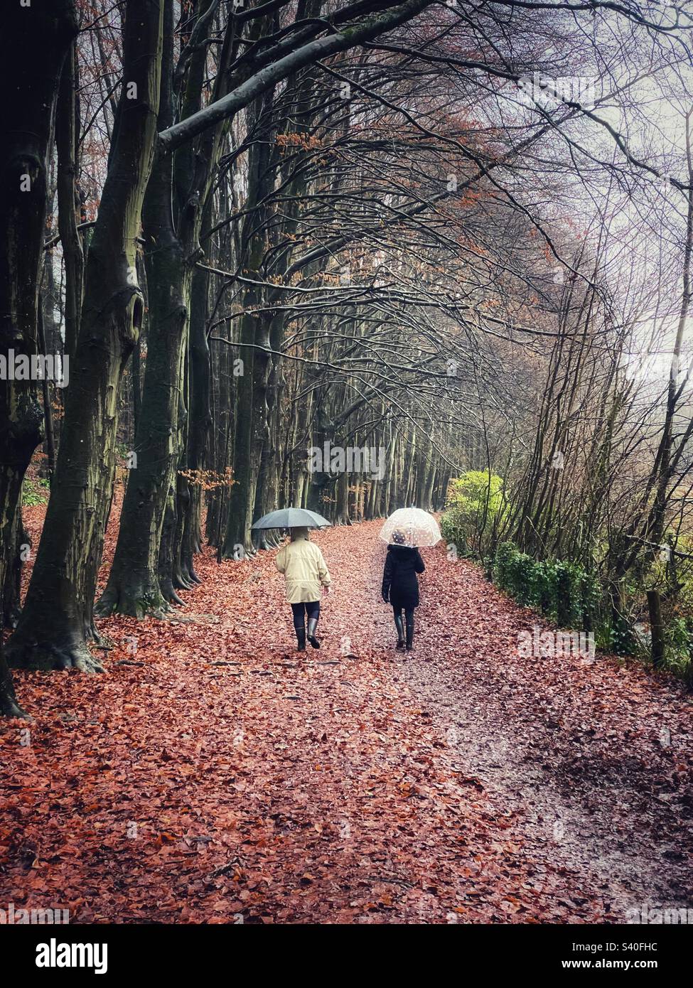 Due Signore che camminano nel bosco sotto la pioggia. Foto Stock